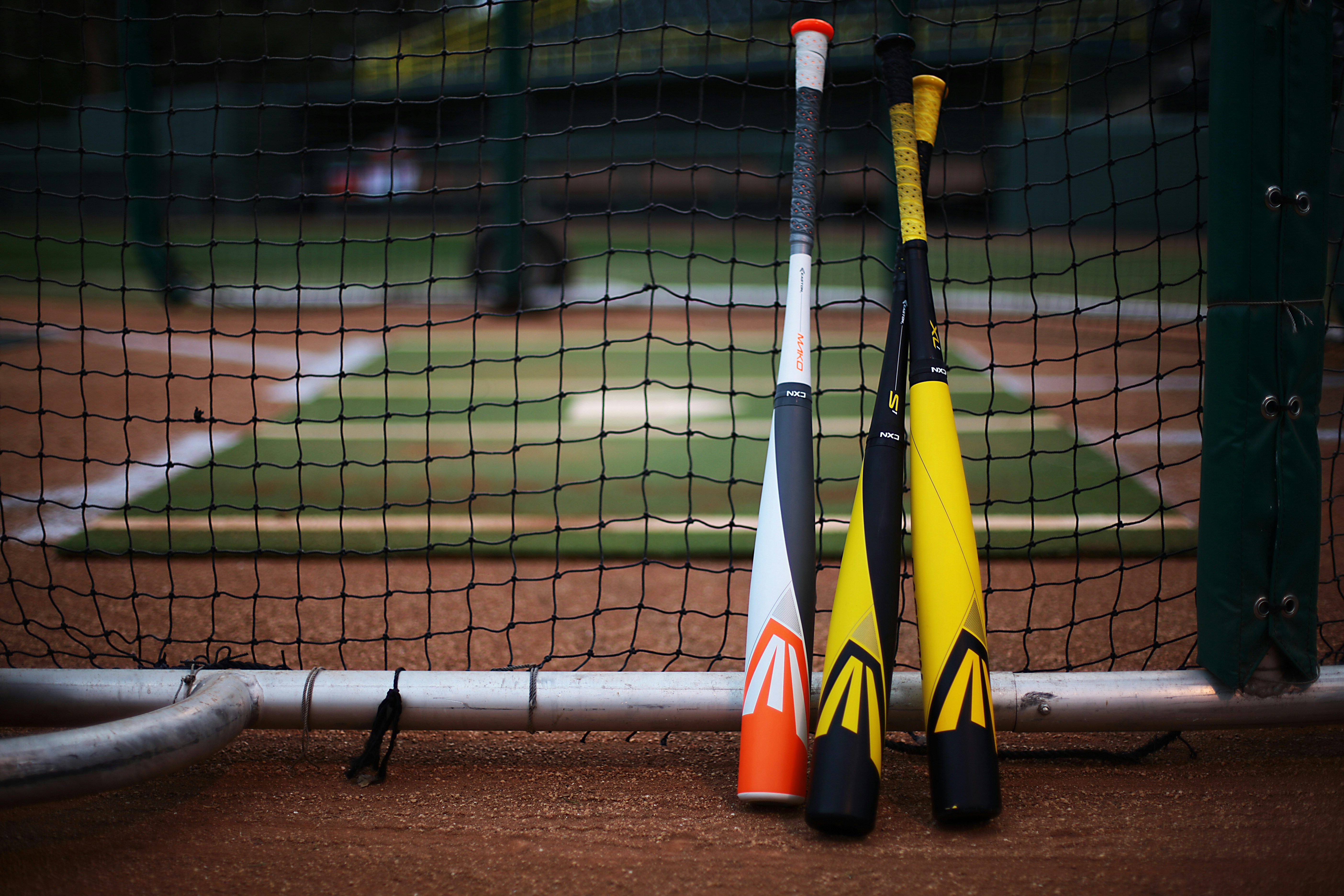 Understanding Bat Stamps: A Parent's Guide to Buying the Right Bat